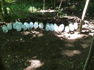 Water Jugs